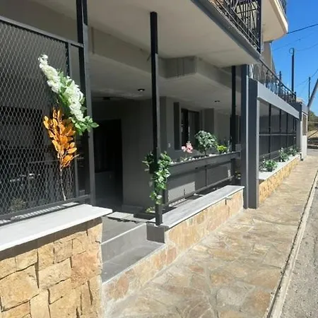 Letsios Steel4 *